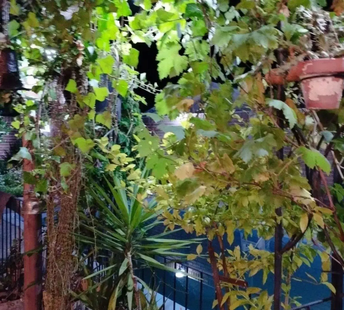 Venta Casa 3 amb. Quincho Pileta Cochera Impecable 2