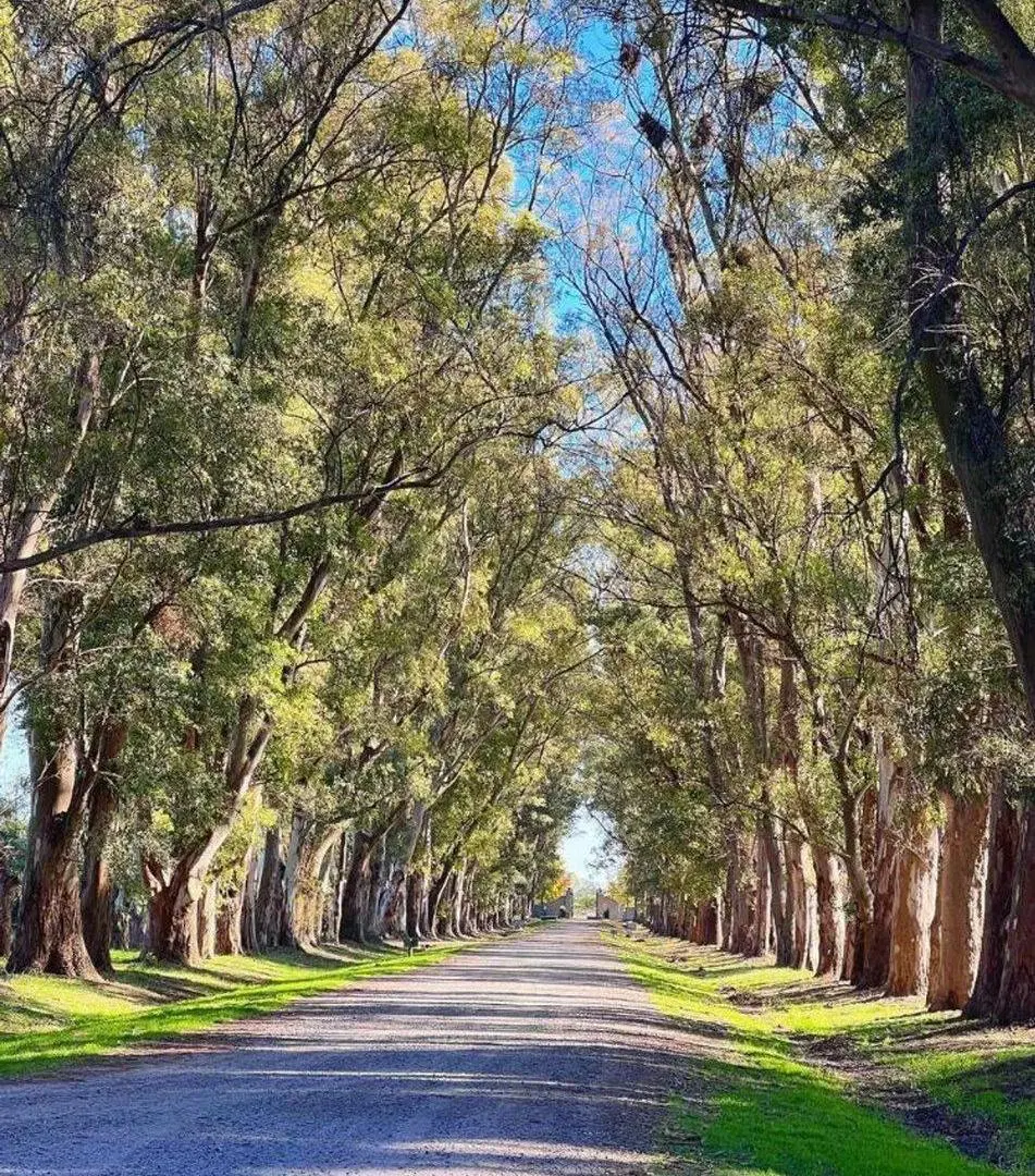 VENTA DE LOTE CHACRAS DE SAN ANDRES/LA MONTURA 5