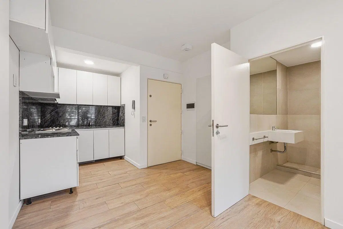 VENTA MONOAMBIENTE DIVISIBLE EN PARQUE CHAS 3