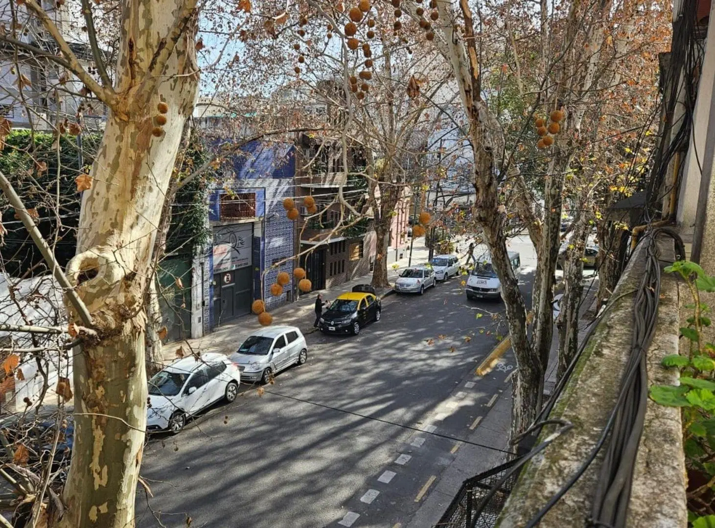 Alquiler PH 3 ambientes 1 piso x esc - terraza 4