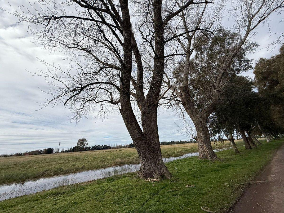 Foto de Venta Lote S.Miguel del Monte chacras S.Pablo UF 5, imagen 4
