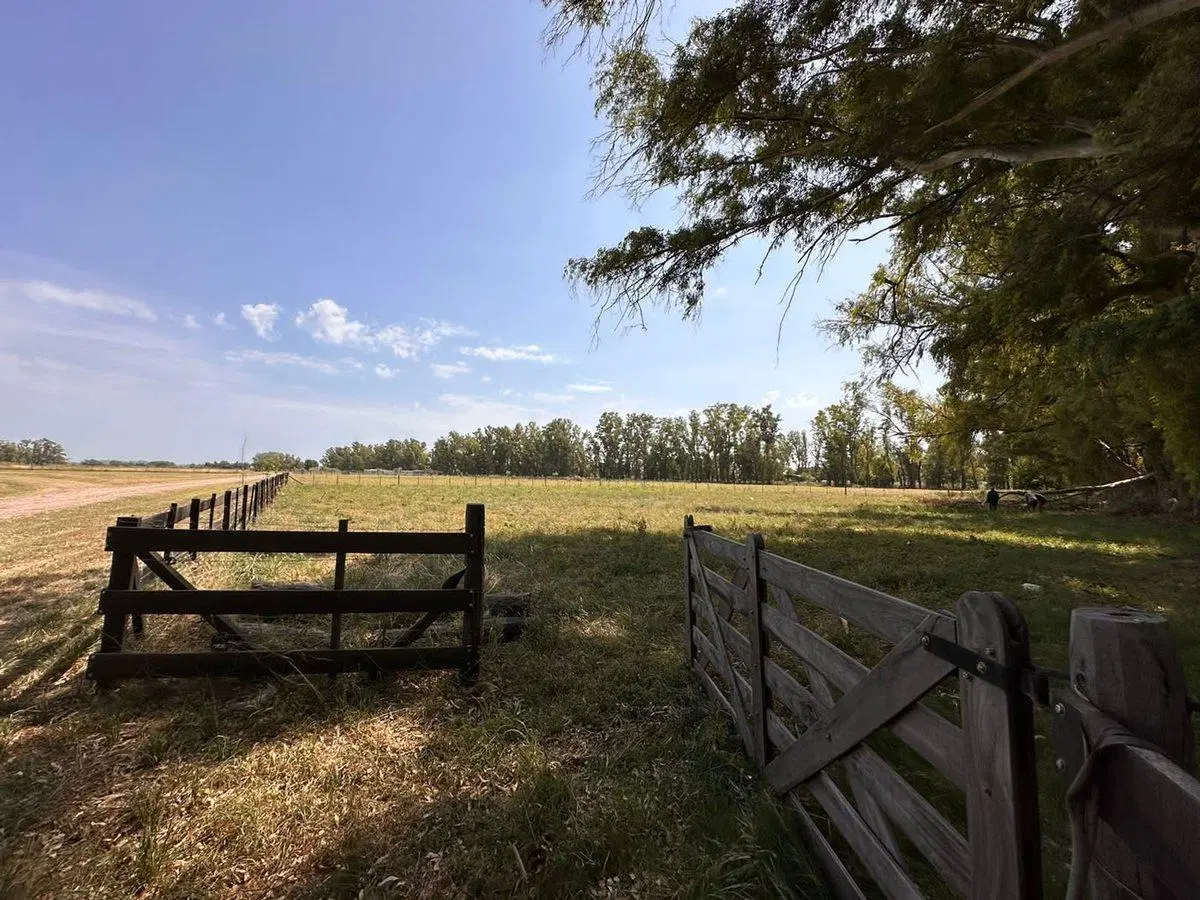 LOTE TERRENO CON EMPALIZADA TRANQUERA-ARBOLEDA - 5