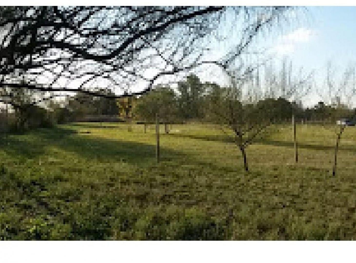 Foto de VENTA DE LOTE - PILAR (VILLA ROSA), imagen 1