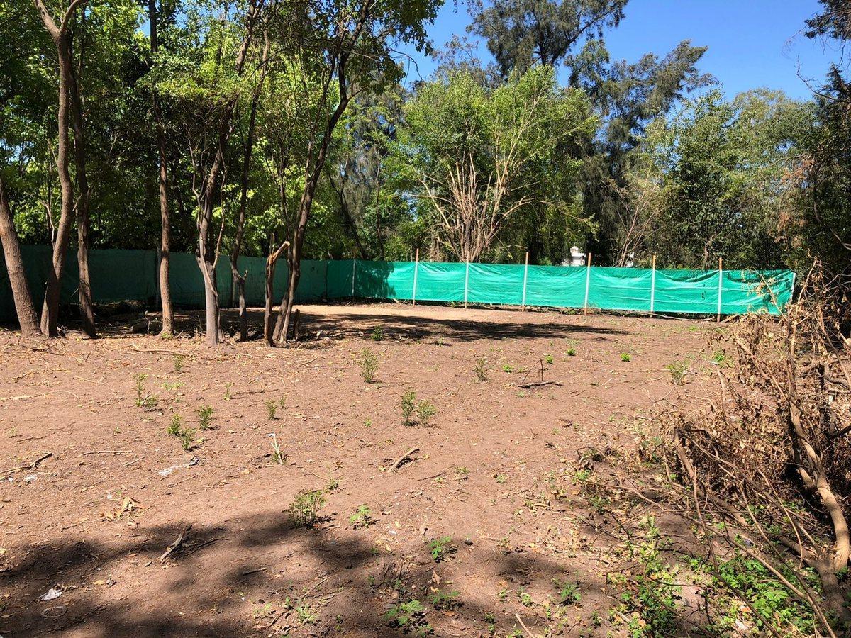 Foto de VENTA LOTE 1050 m2 - DEL VISO U$S 42.000 + cuotas, imagen 3