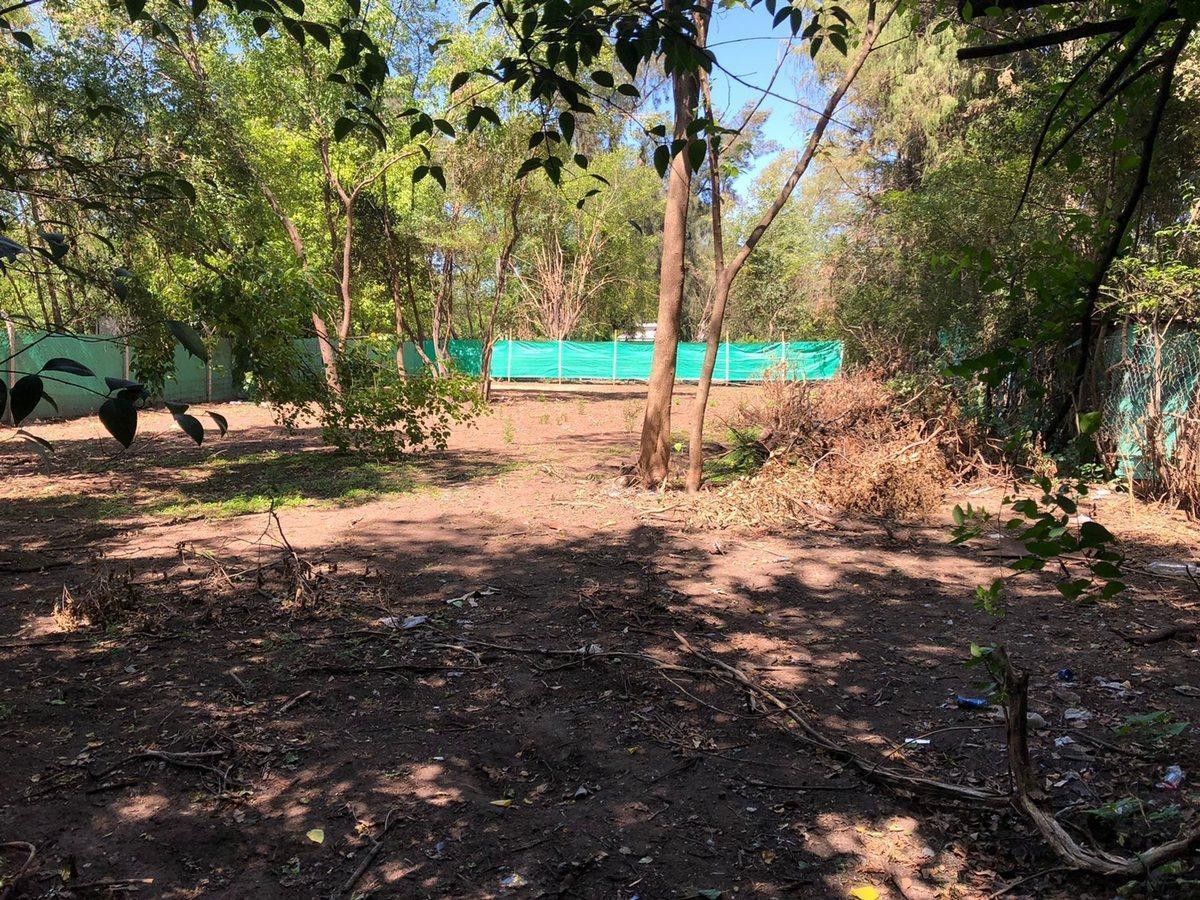 Foto de VENTA LOTE 1050 m2 - DEL VISO U$S 42.000 + cuotas, imagen 4