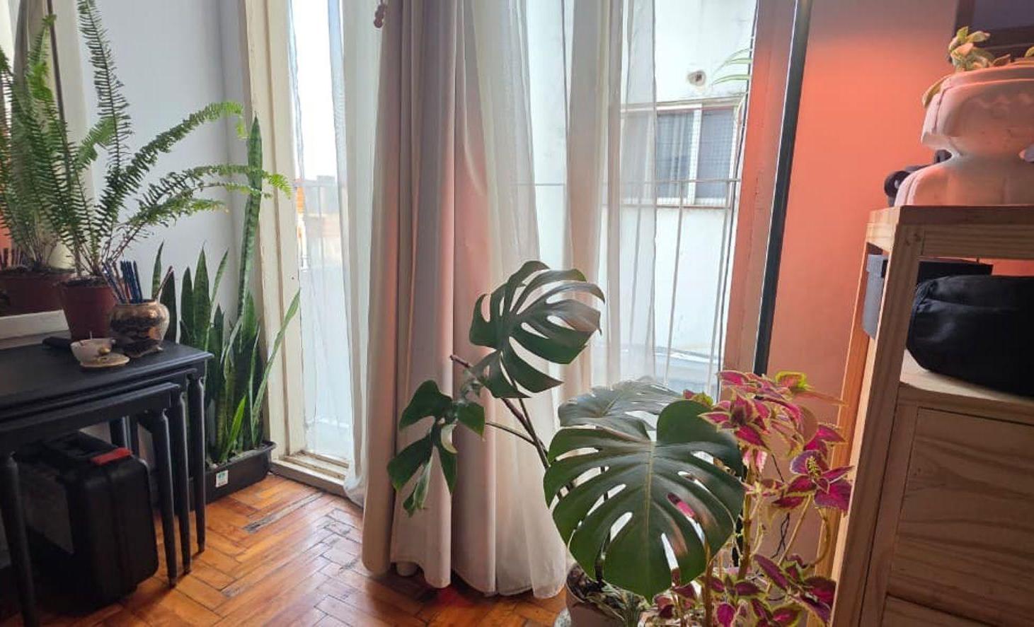 Foto de Venta monoambiente cocina separada lavadero, imagen 1