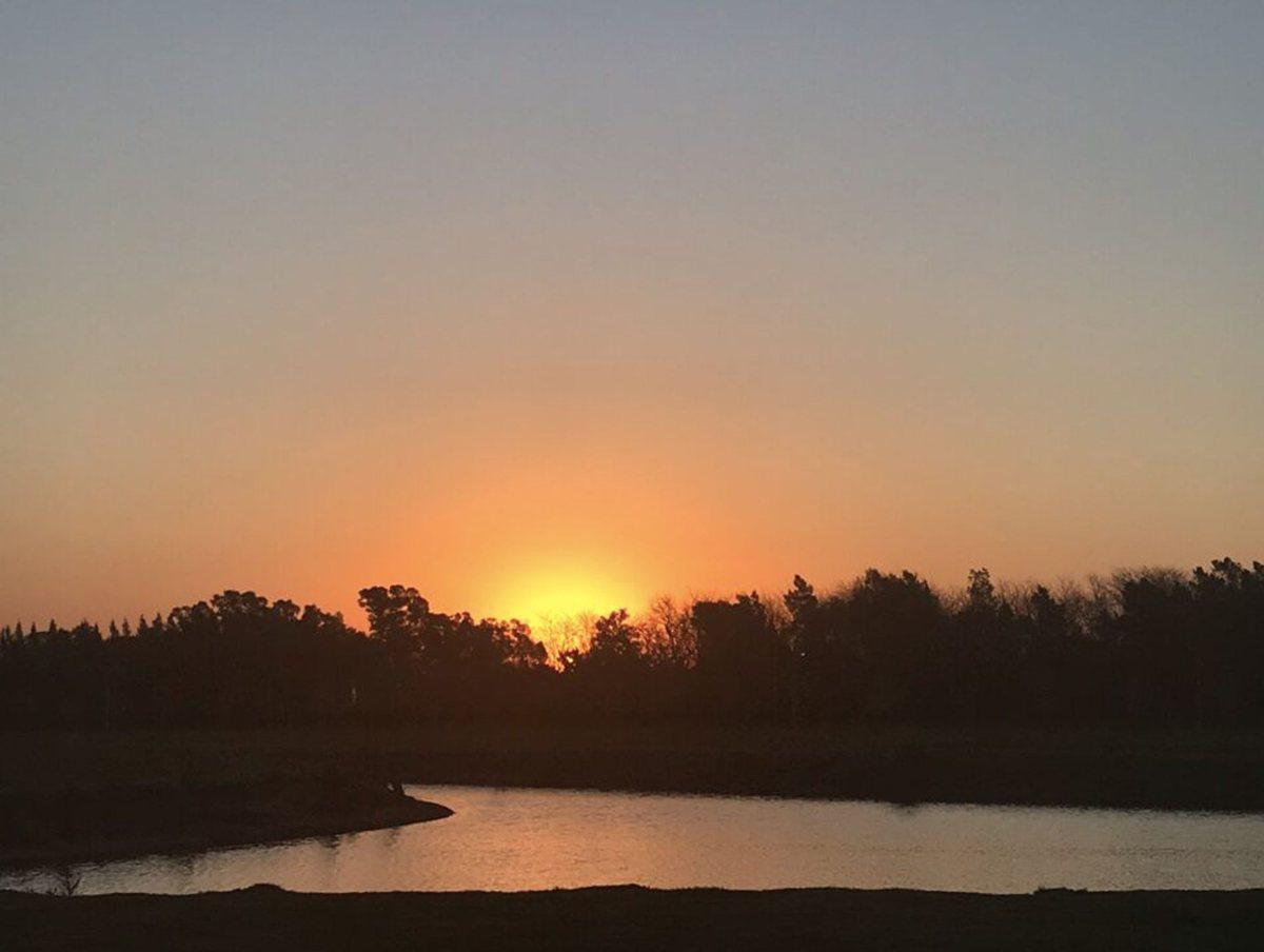 Foto de LOTE EN VENTA CAMPOS DE ROCA II. BRANDSEN, imagen 4