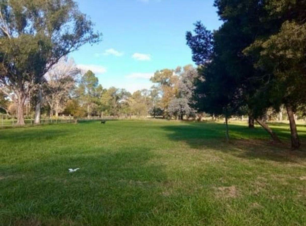 Foto de LOTE EN VENTA – EXCLUSIVA VISTA AL CAMPO DE GOLF, imagen 5