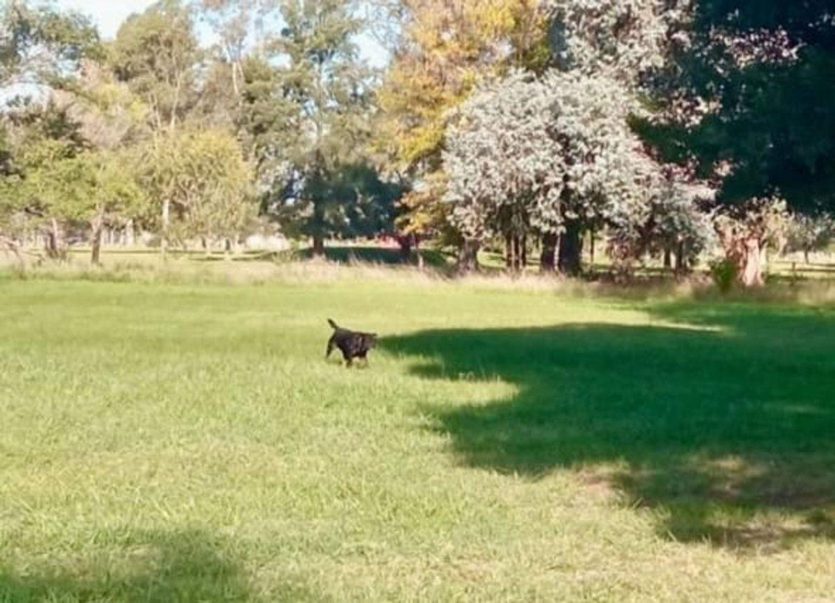 Foto de LOTE EN VENTA – EXCLUSIVA VISTA AL CAMPO DE GOLF, imagen 1