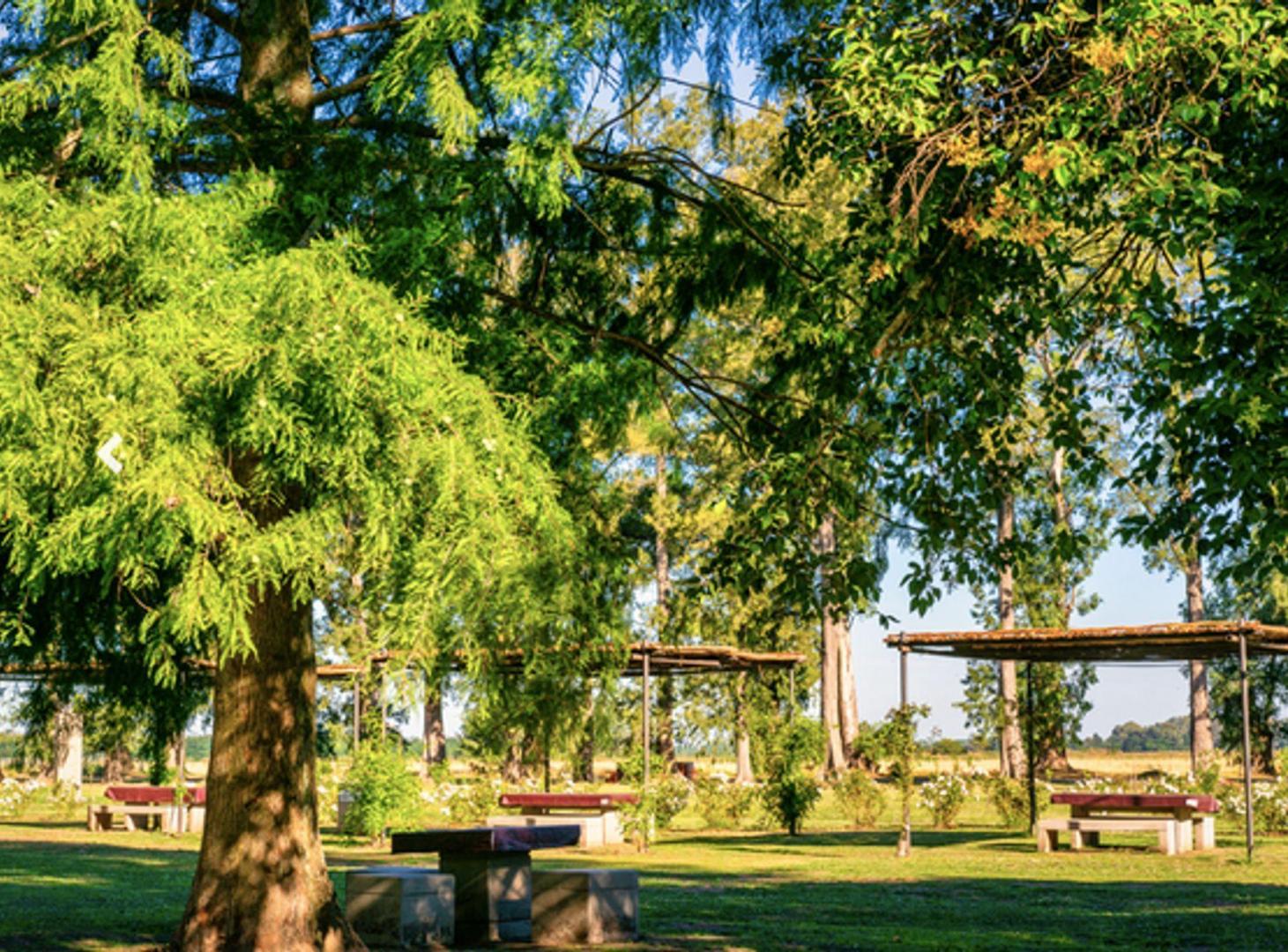 Foto de VENTA LOTE BARRIO TRES PINOS GRAL. RODRIGUEZ POLO, imagen 3