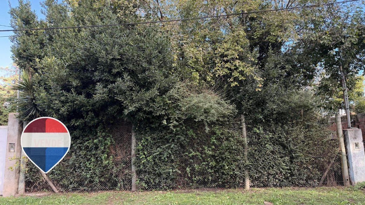 Foto de LOTE EN VENTA EN EZEIZA, imagen 3