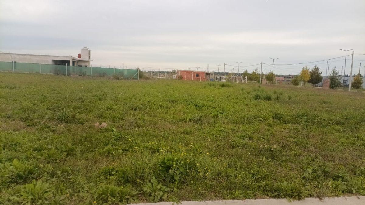 Lote en venta