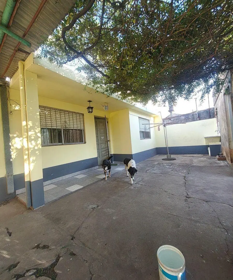 Dos Casas y Local Comercial en un Mismo Terreno 3