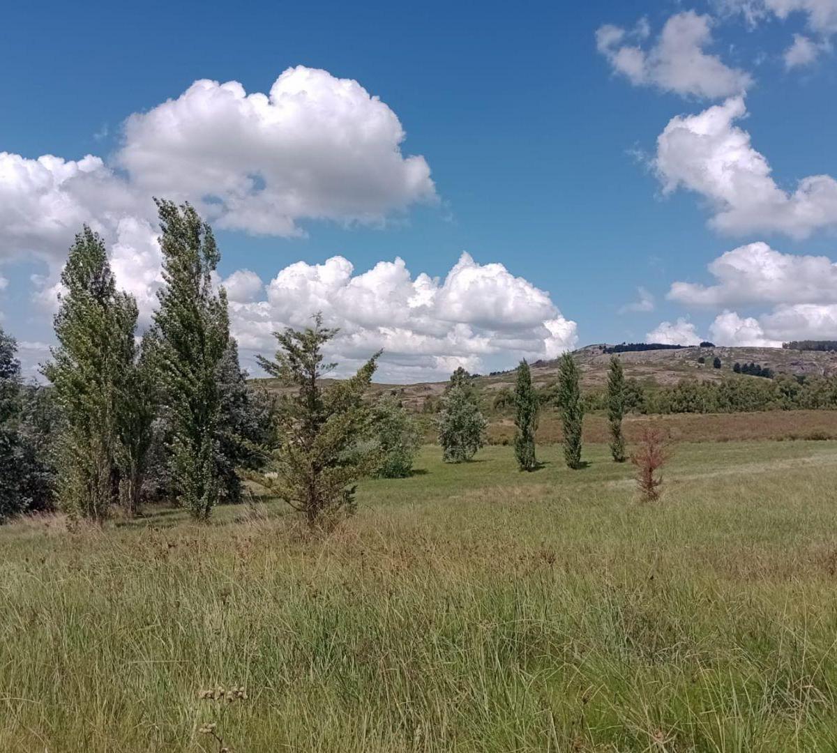 Excelente Predio en Venta de 20000 m Cuadrados 3