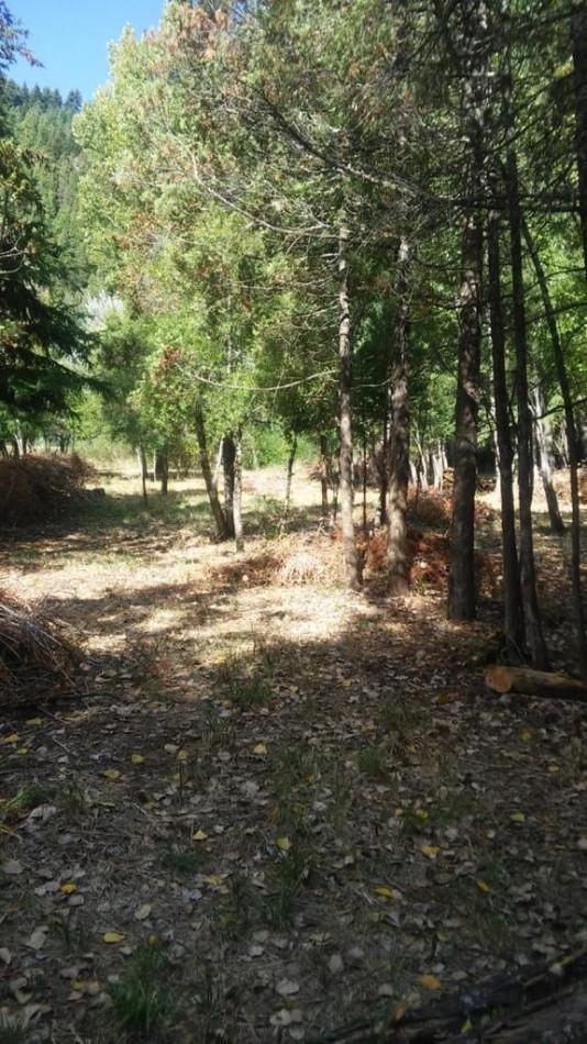 Importante Lote de Terreno en Lago Puelo - Chubut 5