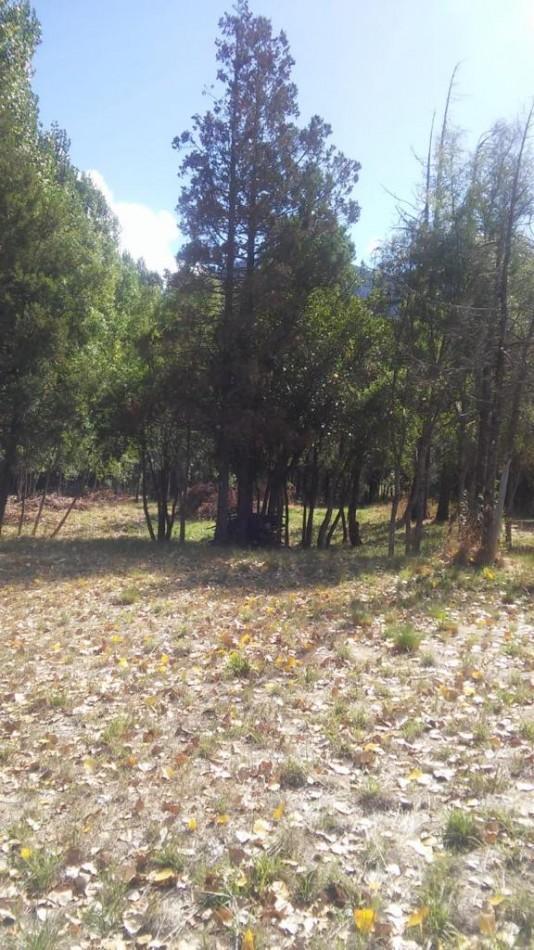 Importante Lote de Terreno en Lago Puelo - Chubut 2