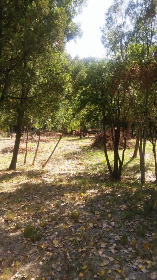 Importante Lote de Terreno en Lago Puelo - Chubut 3