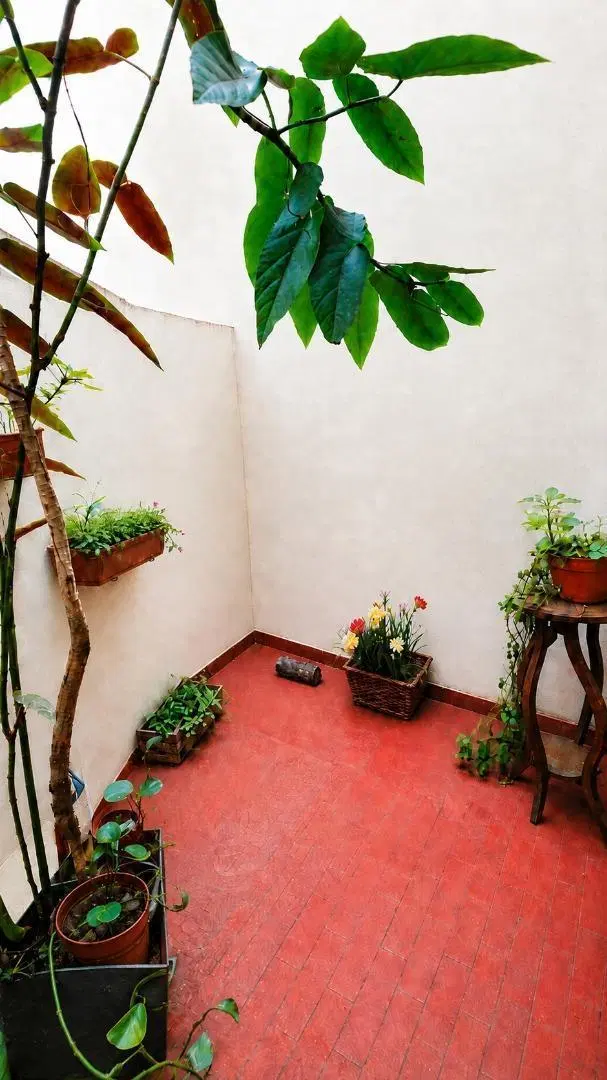 DEPARTAMENTO DE 2 AMBIENTES EN CALLE OLAVARRIA 5