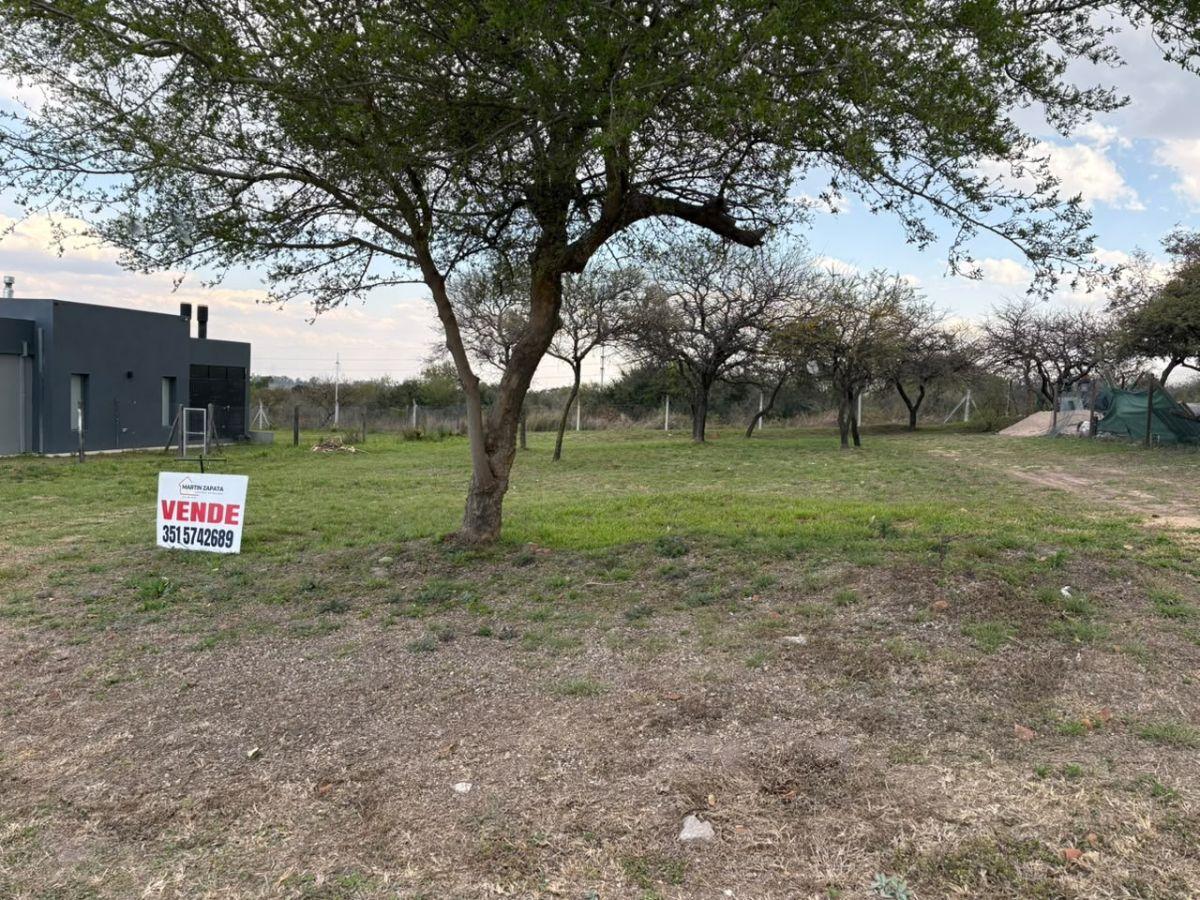 Foto de LOTE EN VENTA | LA CERCANÍA, imagen 4