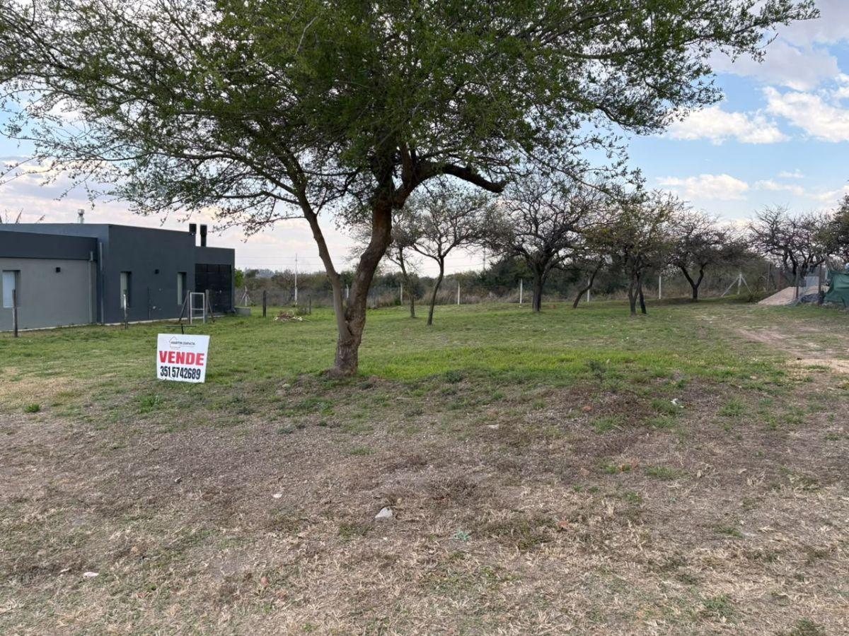 Foto de LOTE EN VENTA | LA CERCANÍA, imagen 5
