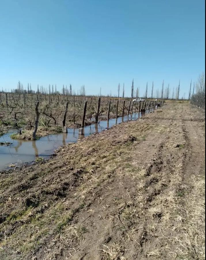 Finca Excelente San Rafael 3