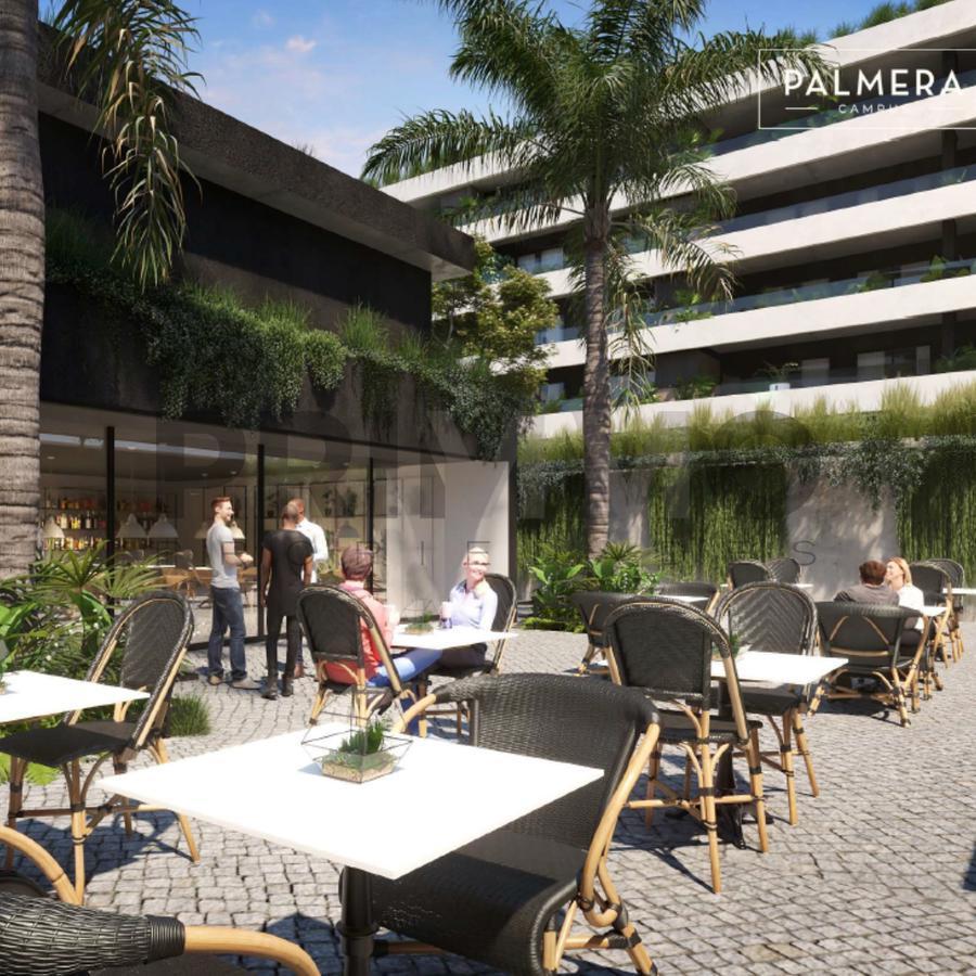 Precio Promocional Palmera Campus 4