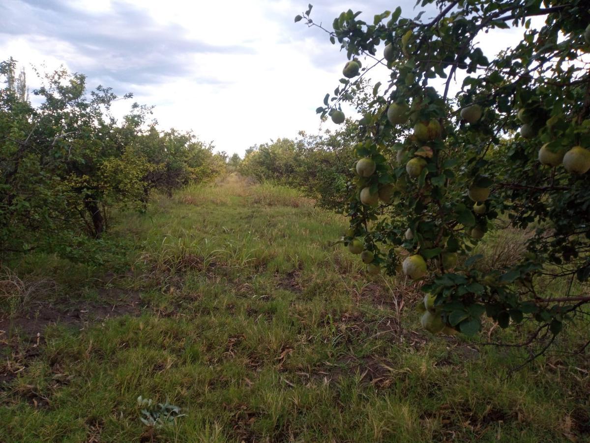 Terreno en San Rafael 3