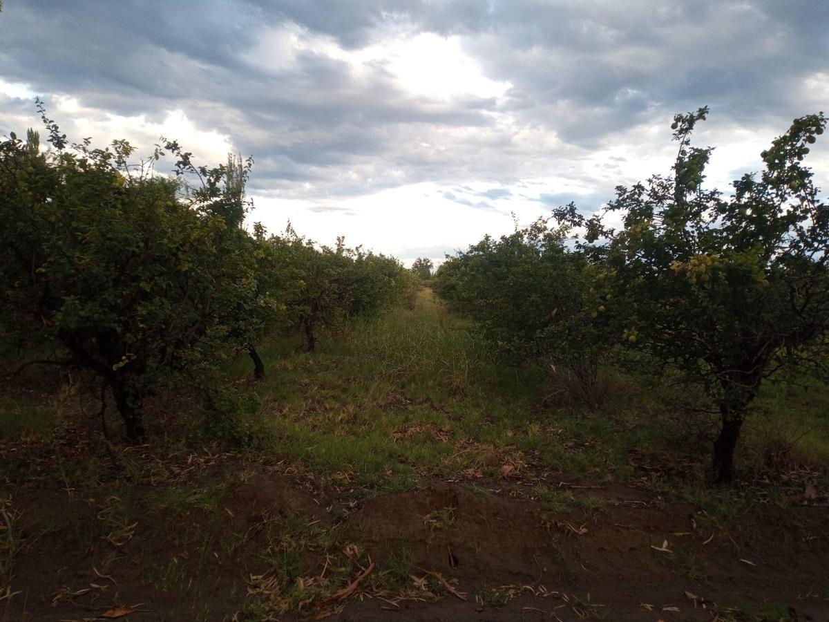Terreno en San Rafael 1