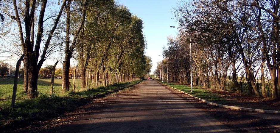 Lote 191 - 300 m² - Estancia Las Moras - Ricardone 1