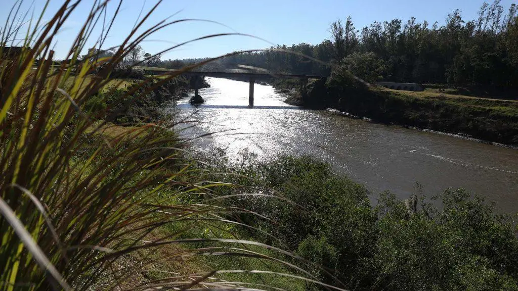 Venta - Lote A76 - 1000 m2 - Campo Timbó - Oliveros, Santa Fé 3