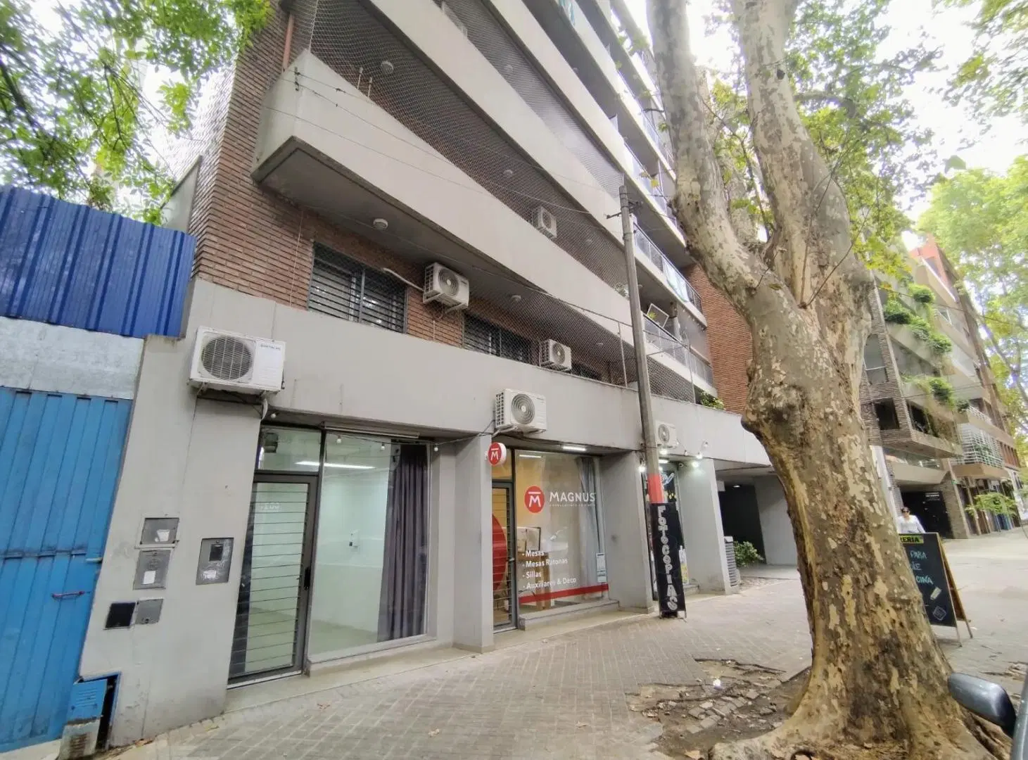 Local comercial en alquiler con vidriera al frente en pb - Rodriguez 1266 8