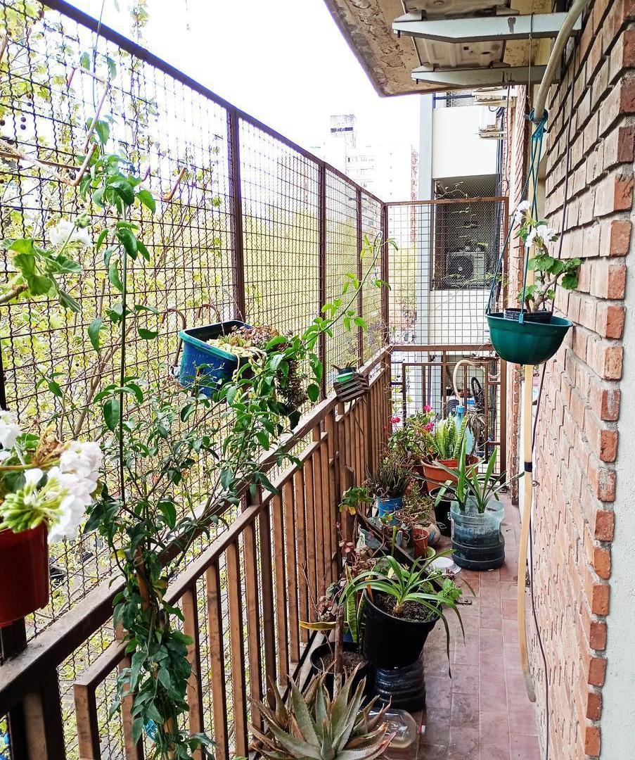 Foto de Departamento en La Plata, imagen 5