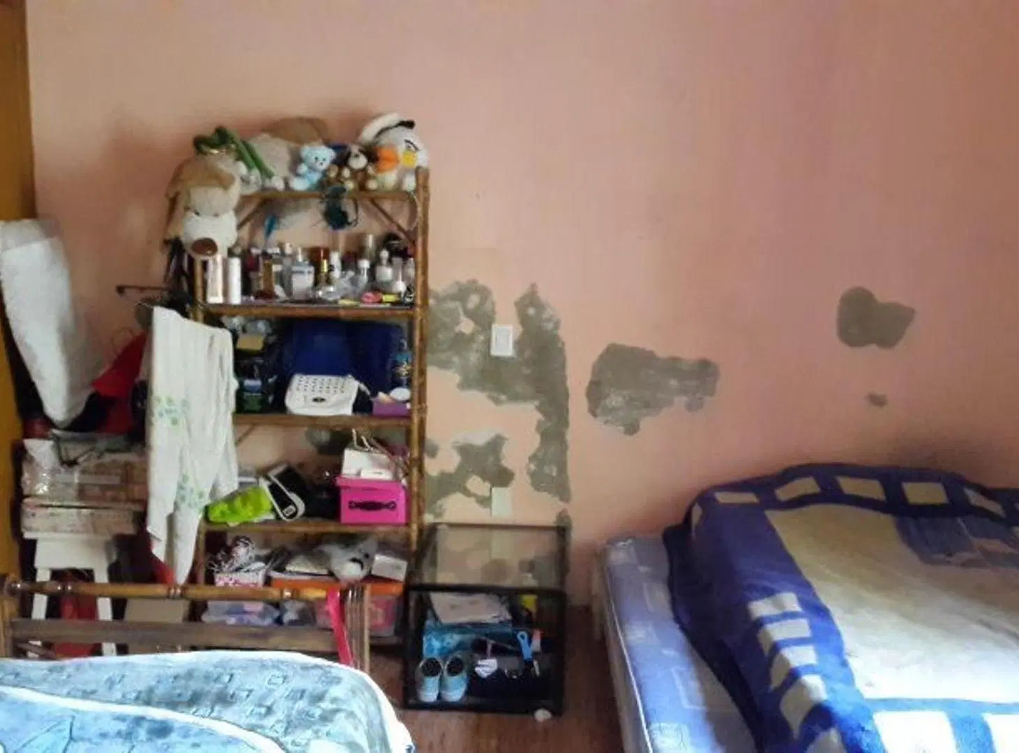Casa Sobre lote de 8,66 x 37 2
