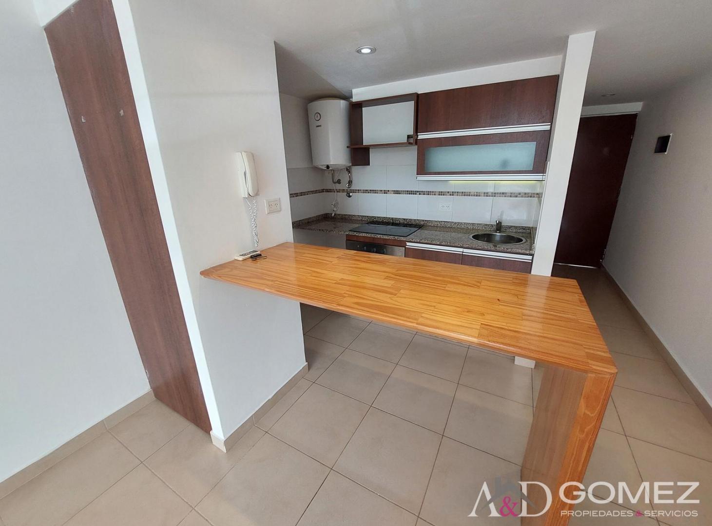 Foto de MODERNO MONOAMBIENTE CON BALCON - 39m2, imagen 1