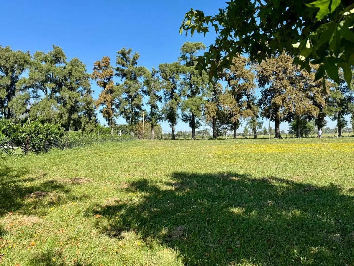 VENTA LOTE MANZANARES CLUB DE CAMPO LOS PALENQUES 2