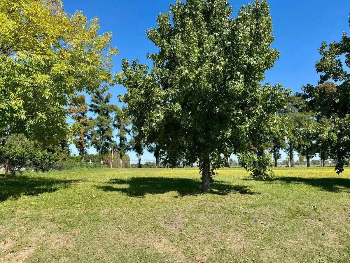 VENTA LOTE MANZANARES CLUB DE CAMPO LOS PALENQUES 4