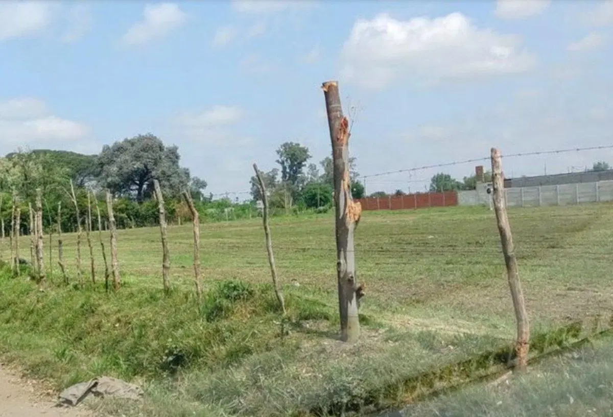 Venta Lote Industrial 1650m2 - Jose Clemente Paz 3