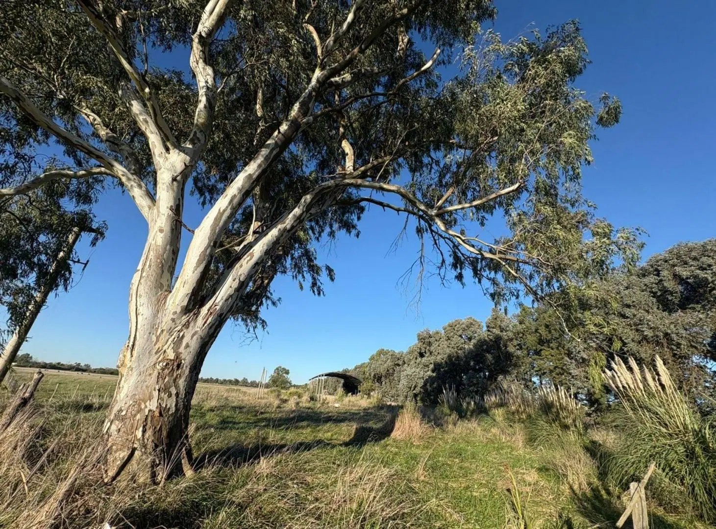 VENTA CAMPO SOBRE RUTA NACIONAL Nº 3 MONTE 4