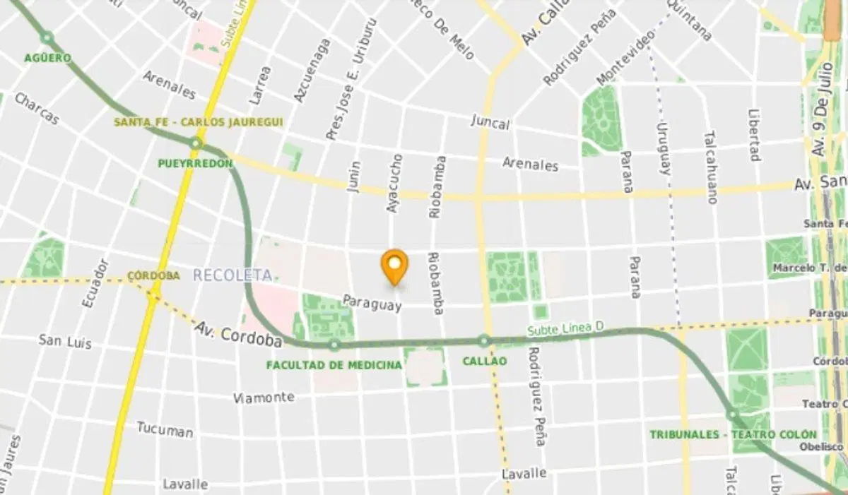 Cochera Doble  2 AUTOS Ayacucho 930 Fac Medicina 4