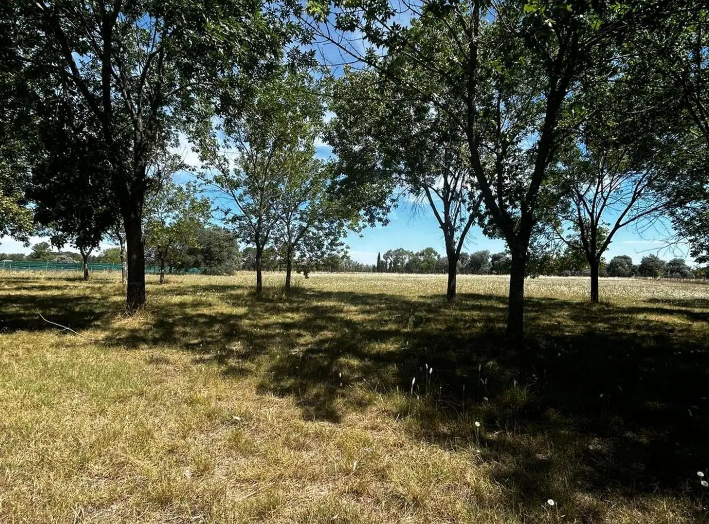 Venta Lote 1 Ha Estancia La Macarena Chacra 3