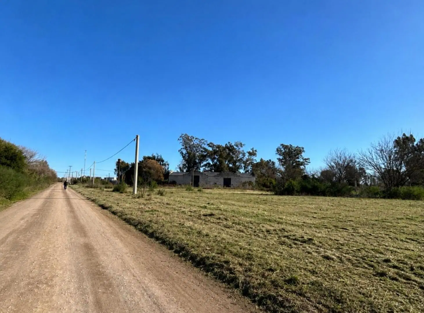 VENTA TERRENO EN SAN MIGUEL DEL MONTE 5