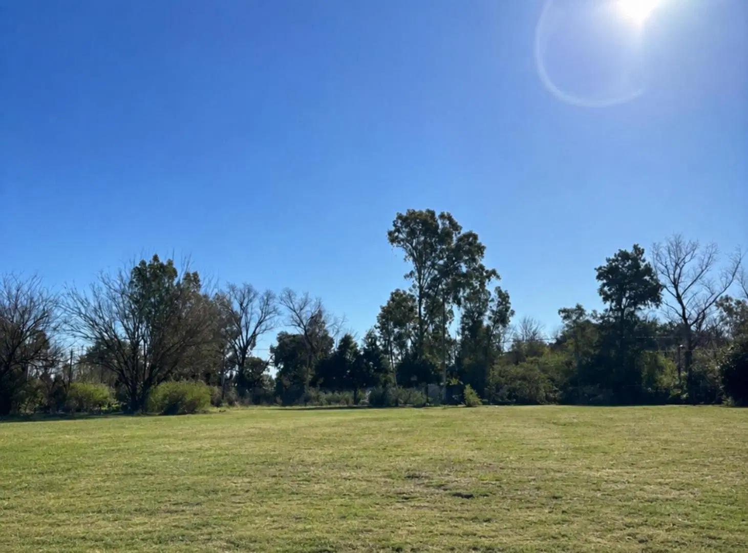 VENTA LOTE SAN MIGUEL DEL MONTE 4