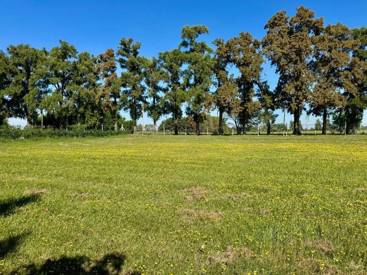 VENTA LOTE MANZANARES CLUB DE CAMPO LOS PALENQUES 3