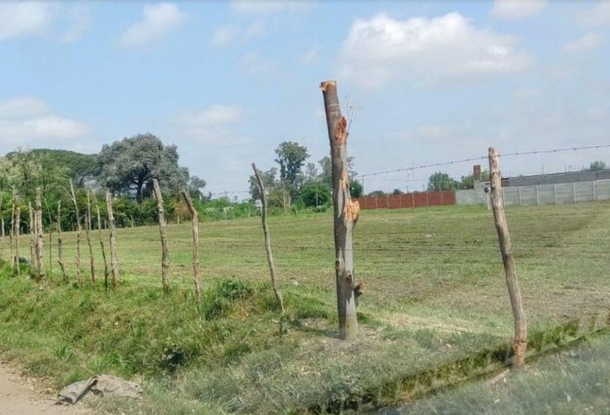 Venta Lote Industrial 1650m2 - Jose Clemente Paz
