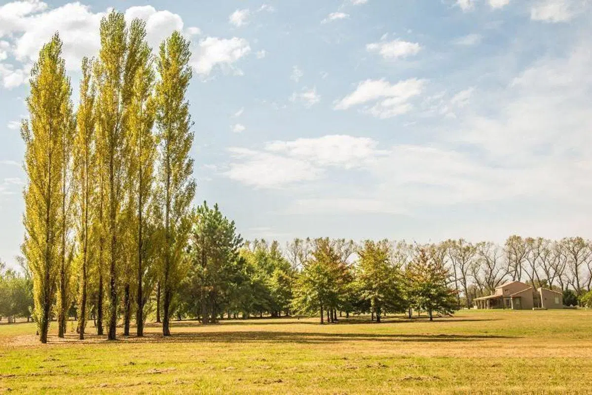 LOTE EN VENTA ESTANCIA VILLA MARIA - 2620 M2 2