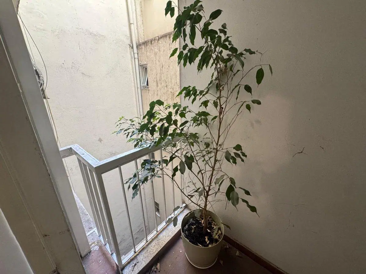 VENTA DEPARTAMENTO RECOLETA 2 AMB. BALCON APTO CRE 3