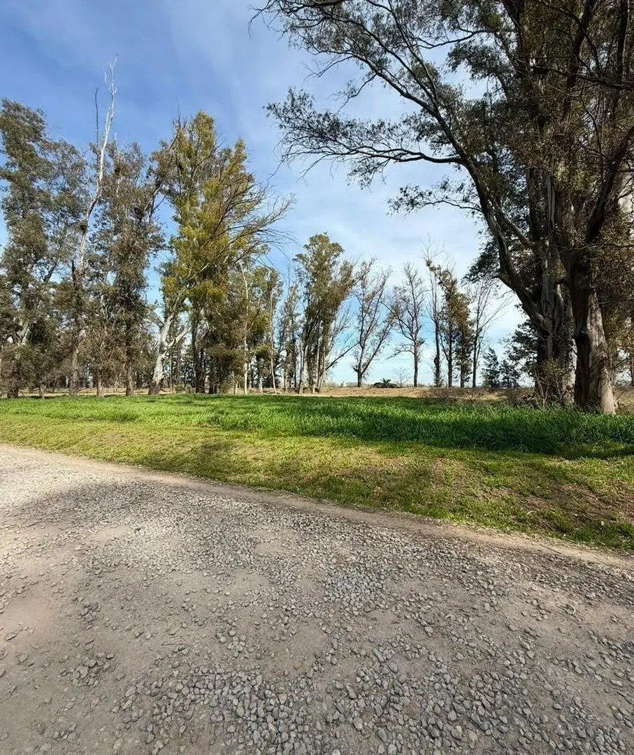 Venta Lote Mercedes Barrio Altos de Mercedes 5