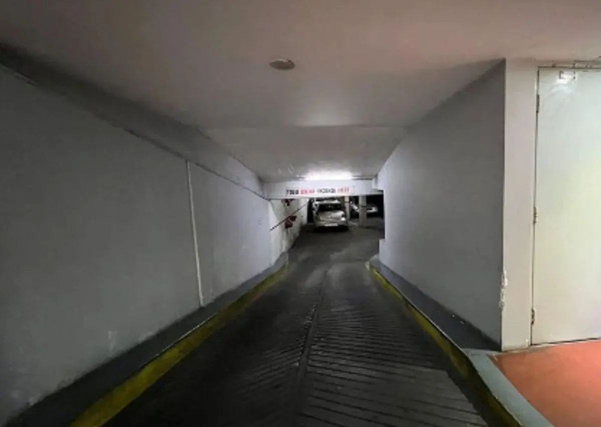 Cochera Doble  2 AUTOS Ayacucho 930 Fac Medicina 3