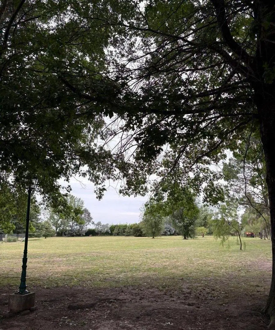 LOTEN EN VENTA EN LA FEDERALA, LOBOS 5