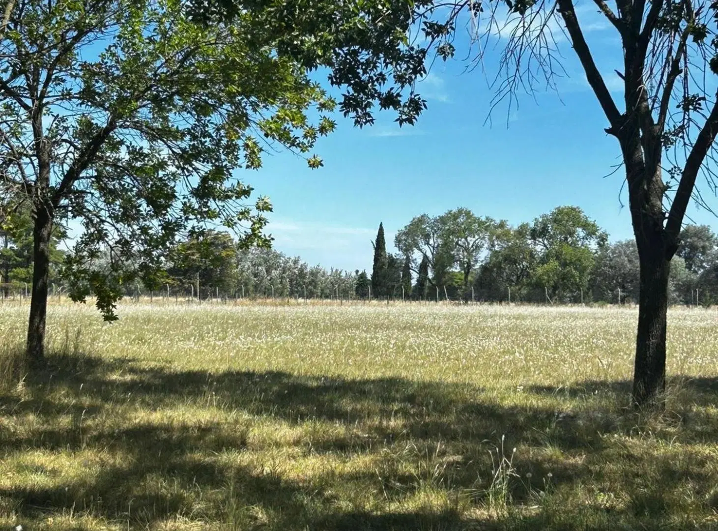 Venta Lote 1 Ha Estancia La Macarena Chacra 6